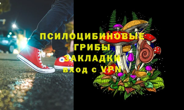 бошки Переславль-Залесский