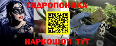 прущие крисы Пушкино