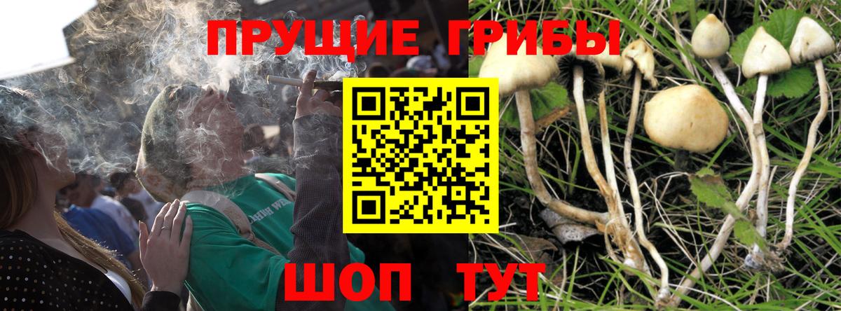 Усть-Лабинск  Псилоцибиновые грибы мицелий  Псилоцибиновые грибы Cubensis  Вход с VPN 