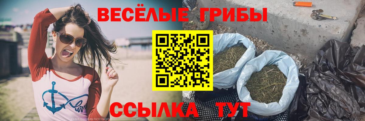 Псилоцибиновые грибы Cubensis Усть-Лабинск